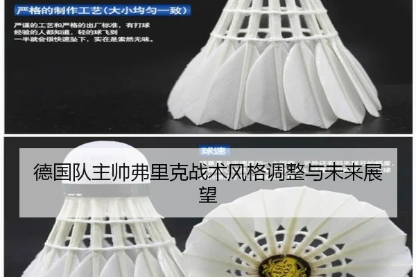 德国队主帅弗里克战术风格调整与未来展望